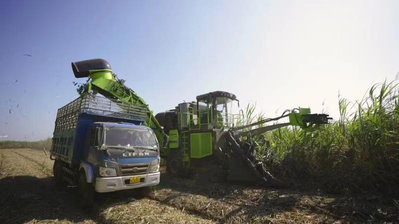 东升国际官网-钻营健全,你我一路成长