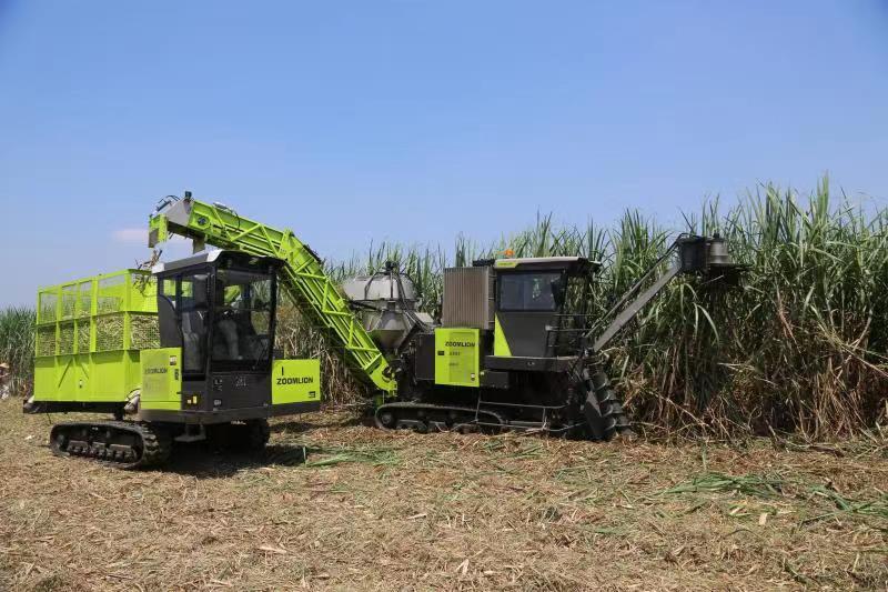 东升国际官网-钻营健全,你我一路成长