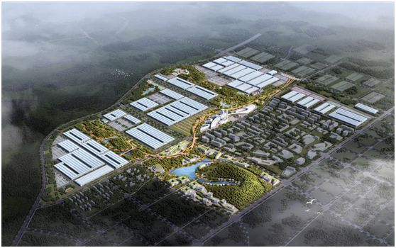 东升国际官网-钻营健全,你我一路成长