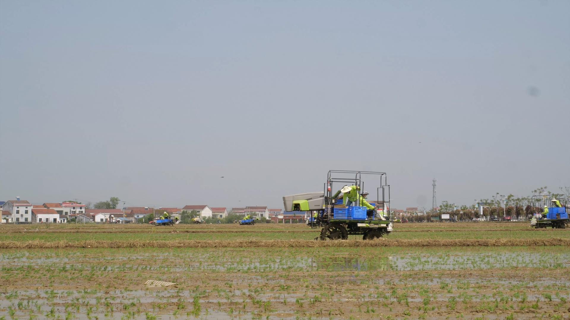 东升国际官网-钻营健全,你我一路成长