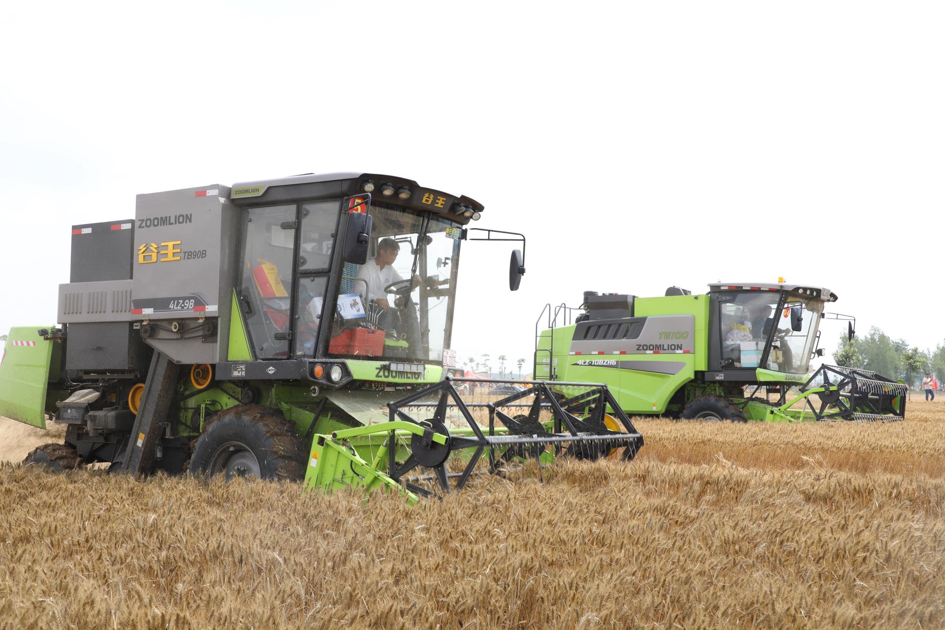 东升国际官网-钻营健全,你我一路成长