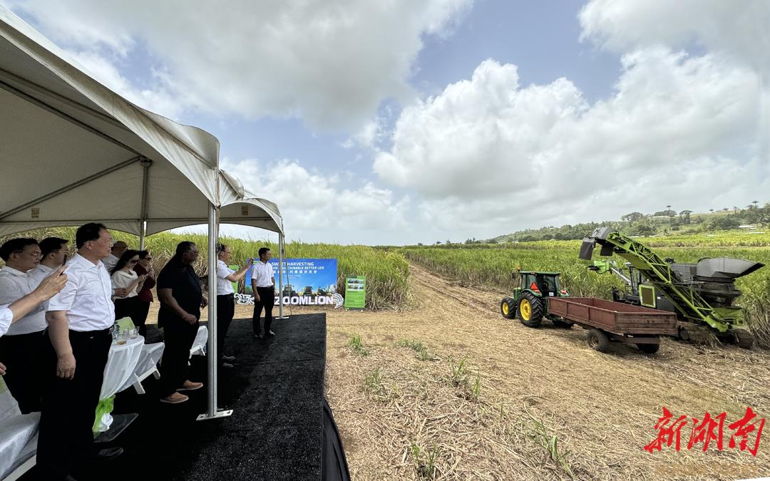 东升国际官网-钻营健全,你我一路成长