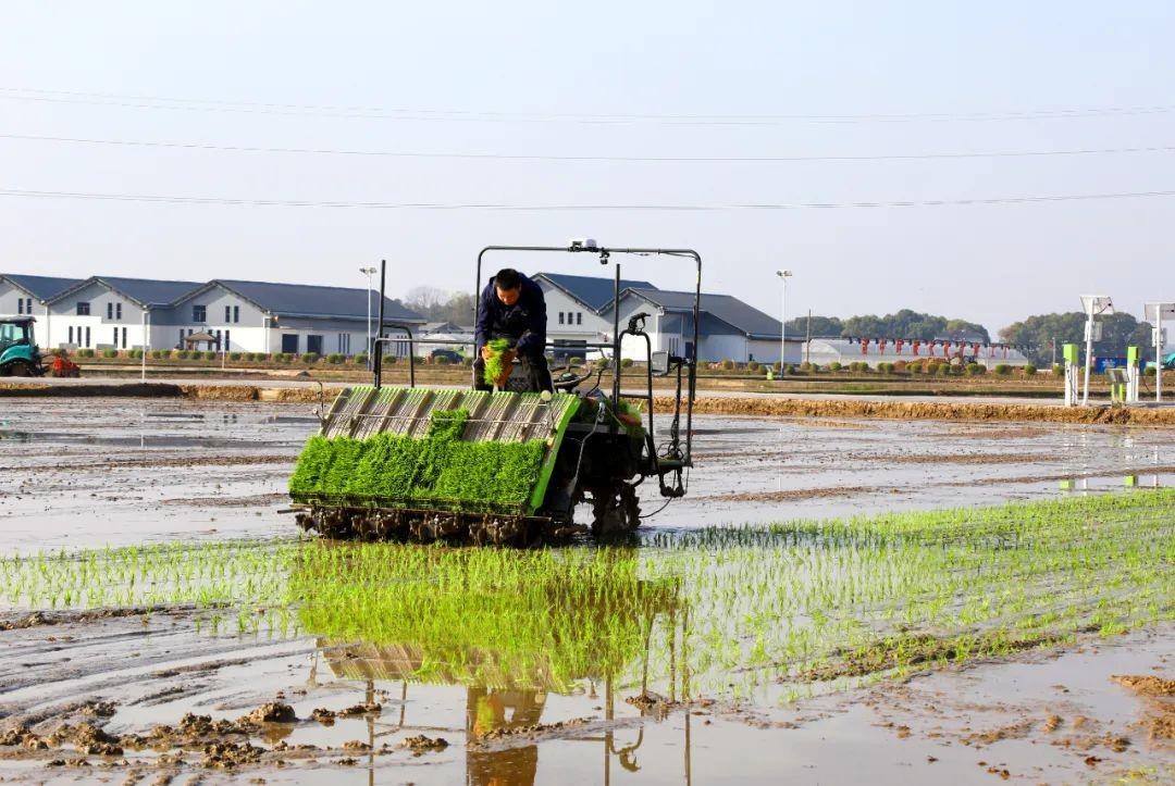 东升国际官网-钻营健全,你我一路成长