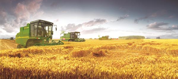 东升国际官网-钻营健全,你我一路成长