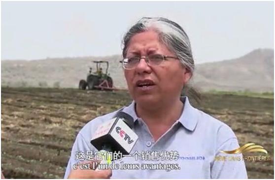 东升国际官网-钻营健全,你我一路成长