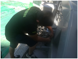 东升国际官网-钻营健全,你我一路成长