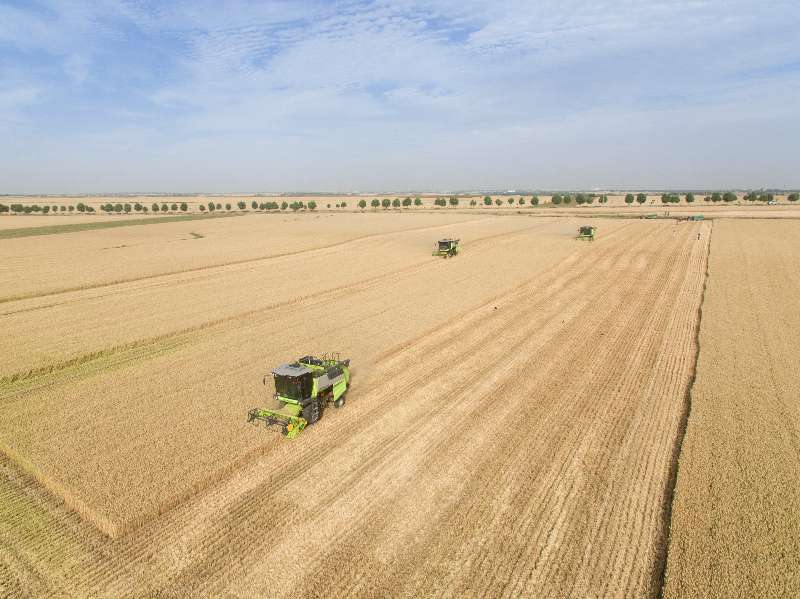 东升国际官网-钻营健全,你我一路成长