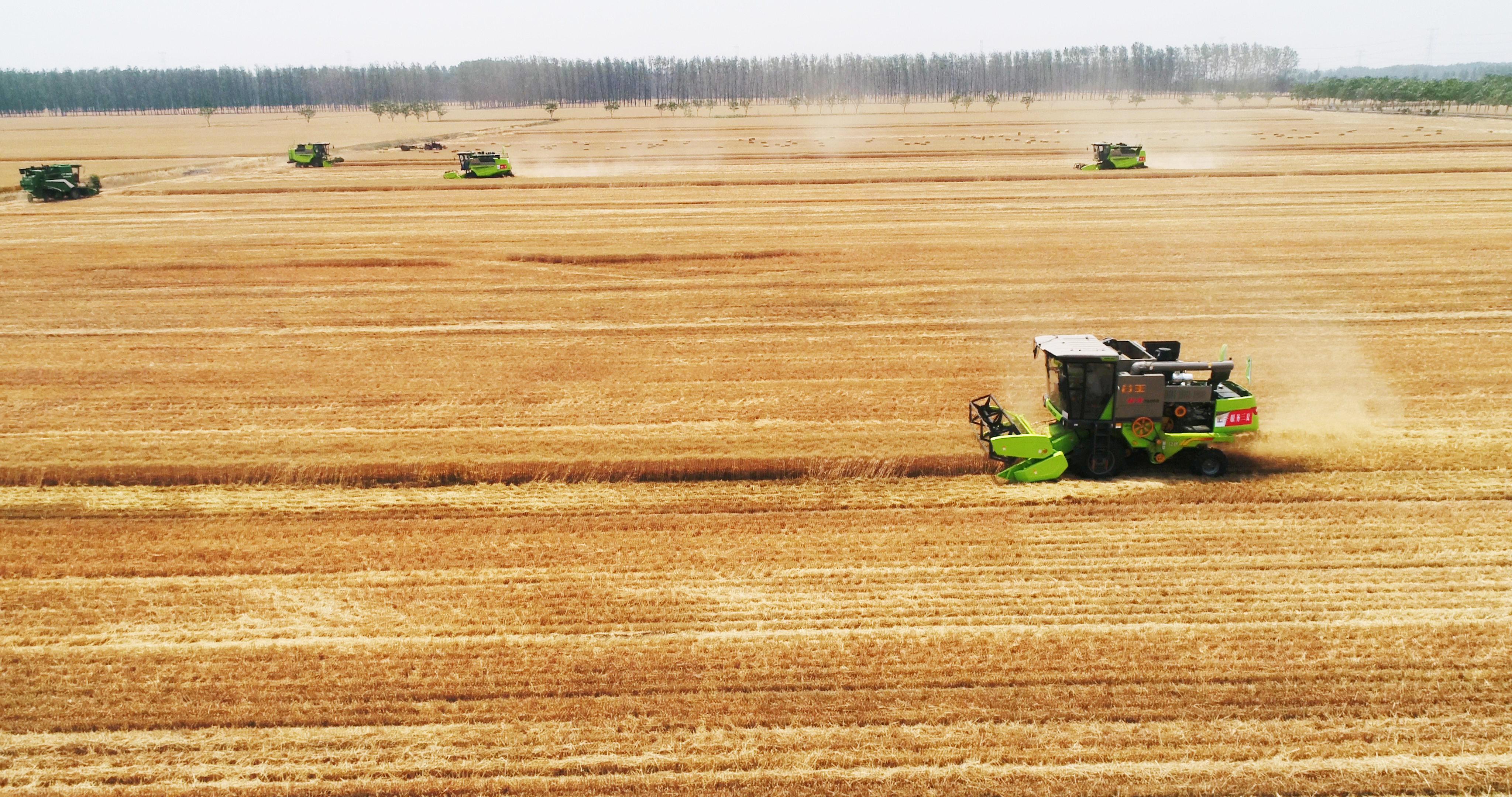 东升国际官网-钻营健全,你我一路成长